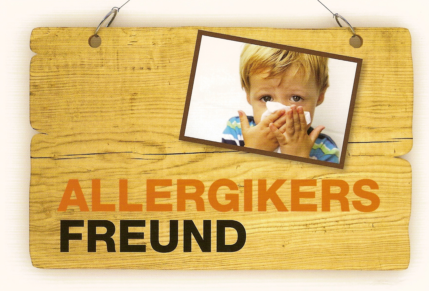 für allergiker geeignet. Leinos Naturfarben